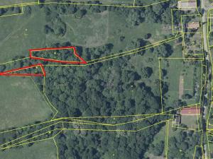 Prodej louky, Kozly, 1399 m2