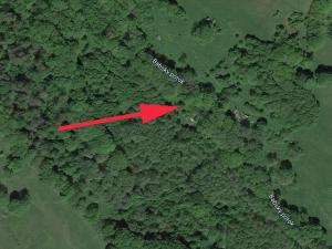 Prodej lesa, Trutnov, 4983 m2