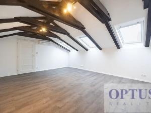 Pronájem bytu 6+kk a větší, Praha - Staré Město, Dušní, 218 m2