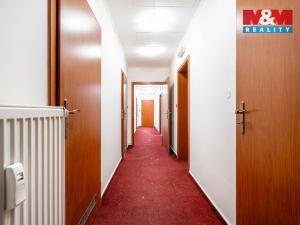 Prodej obchodního prostoru, Praha, Trnkovo náměstí, 324 m2