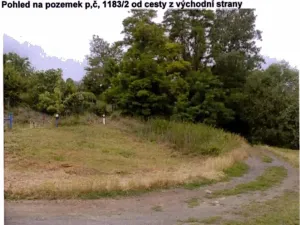 Prodej lesa, Dolní Věstonice, 1179 m2