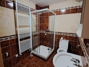 Pronájem bytu 2+kk, Náměšť nad Oslavou, 64 m2