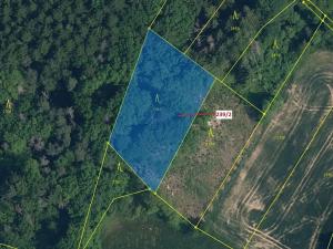 Dražba lesa, Jenišovice, 2305 m2