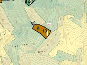 Dražba lesa, Zubrnice, 4610 m2