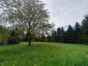 Prodej chalupy, Jindřichovice pod Smrkem, 150 m2