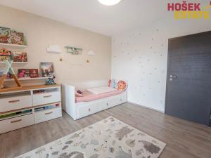 Prodej rodinného domu, Svinošice, 239 m2