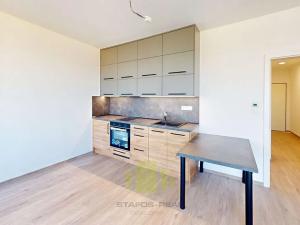 Pronájem bytu 1+kk, Olomouc, Camilla Sitteho, 34 m2