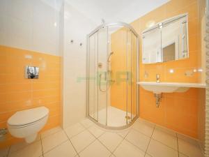 Pronájem bytu 4+kk, Praha - Vinohrady, 104 m2