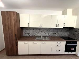 Pronájem bytu 2+kk, Brno, Obřanská, 60 m2