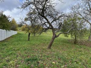 Prodej rodinného domu, Hvozd, 90 m2