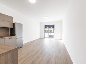 Pronájem bytu 1+kk, České Budějovice, 43 m2