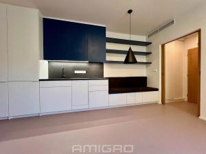 Pronájem bytu 1+kk, Brno, Peroutková, 25 m2