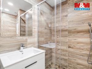 Prodej bytu 2+kk, Teplice - Trnovany, Trnovanská, 43 m2