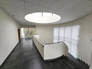 Pronájem výrobních prostor, Brno, Franzova, 785 m2