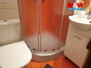 Pronájem bytu 1+kk, Třinec - Lyžbice, Palackého, 22 m2