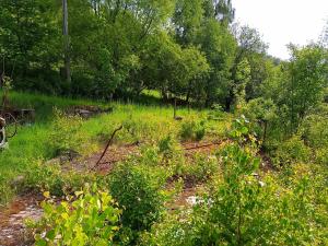 Prodej pozemku pro bydlení, Desná, Hutní, 2111 m2