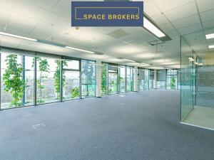 Pronájem kanceláře, Praha - Chodov, V parku, 488 m2