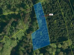 Dražba lesa, Valašská Senice, 1662 m2