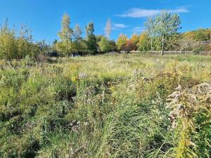 Prodej pozemku pro bydlení, Černé Voděrady, 1775 m2