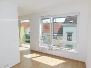 Pronájem bytu 1+1, České Budějovice, Nová, 47 m2