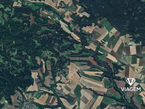 Prodej lesa, Nosálov, 300 m2