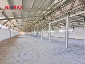 Pronájem výrobních prostor, Dolní Chvatliny, 3690 m2
