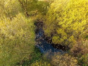 Prodej pozemku pro bydlení, Bušanovice, 40045 m2