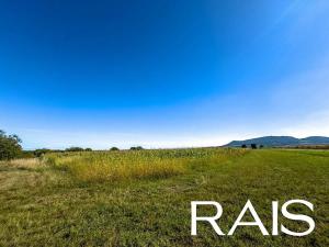 Prodej komerčního pozemku, Strachotín, 71859 m2