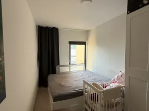 Pronájem bytu 3+kk, Praha - Karlín, U Mlýnského kanálu, 70 m2