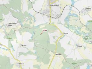 Dražba lesa, Borovany, 605 m2