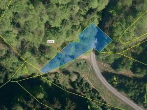 Dražba lesa, Valašská Senice, 917 m2