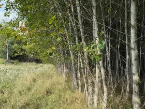 Prodej pole, Česká Kamenice, 108179 m2