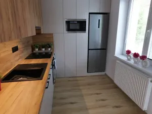 Pronájem bytu 2+1, Uherský Brod, 58 m2