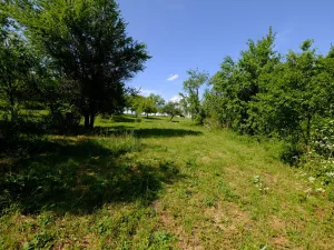 Prodej zahrady, Uherský Brod, 2032 m2