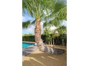 Prodej rodinného domu, Rojales, Španělsko, 160 m2