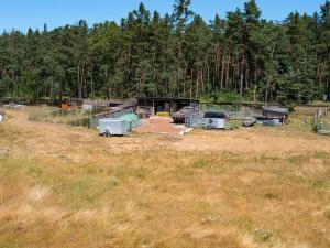 Prodej louky, Doksy, 46765 m2