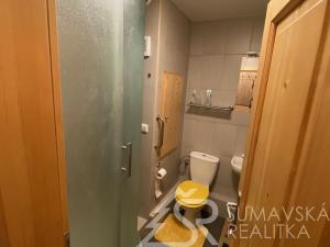 Pronájem bytu 1+1, Sušice - Sušice II, Volšovská, 36 m2