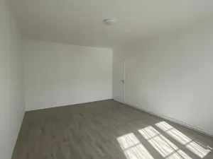 Pronájem bytu 1+1, Ostrava, Newtonova, 41 m2