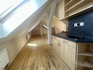 Pronájem bytu 1+1, Plzeň, náměstí Českých bratří, 46 m2