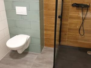 Pronájem bytu 1+1, Teplice, Jankovcova, 48 m2