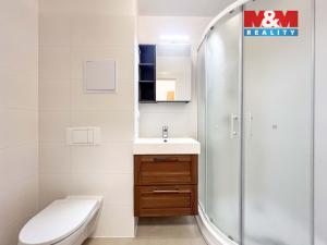 Pronájem bytu 1+kk, Klecany, V Honech, 29 m2