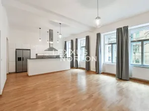 Pronájem bytu 3+kk, Praha - Vinohrady, Mánesova, 118 m2