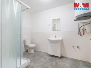 Pronájem bytu 1+1, Sokolov, Nádražní, 50 m2