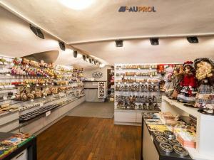 Prodej ubytování, Český Krumlov - Vnitřní Město, Široká, 400 m2