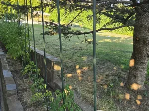 Prodej rodinného domu, Nesebar, Bulharsko, 335 m2