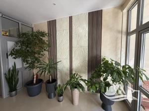 Prodej bytu 2+kk, Nesebar, Bulharsko, 70 m2