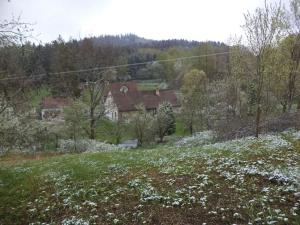Dražba pozemku pro bydlení, Benešov nad Černou, 2520 m2