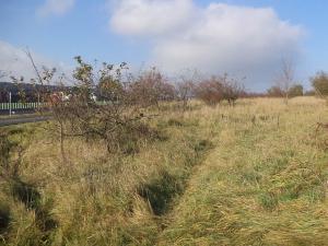 Dražba zahrady, Otrokovice, 503 m2