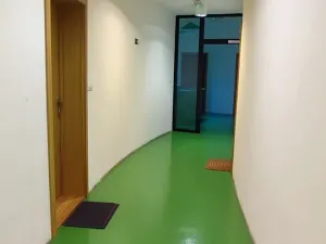 Pronájem bytu 3+kk, Ostrava, Biskupská, 101 m2