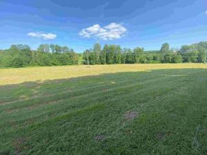 Prodej pozemku, Dobrkovice, 30944 m2